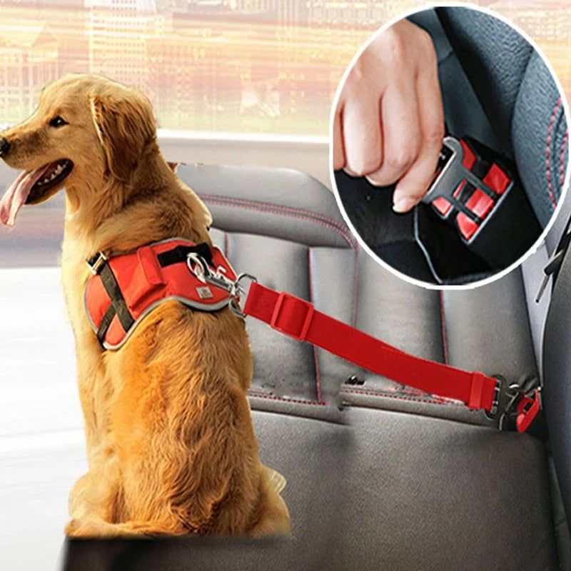 Rope For Pet Car Seat Belt ...